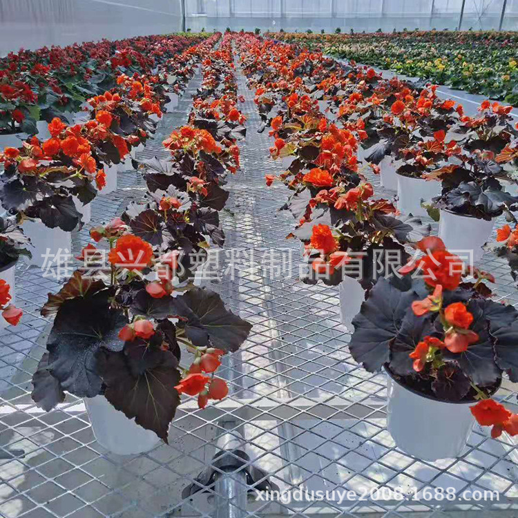 微信图片_20190731114846