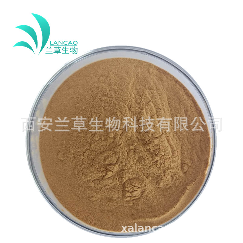 白芷提取物 10:1 水溶  白芷比例提取 规格齐全 厂家现货|ms