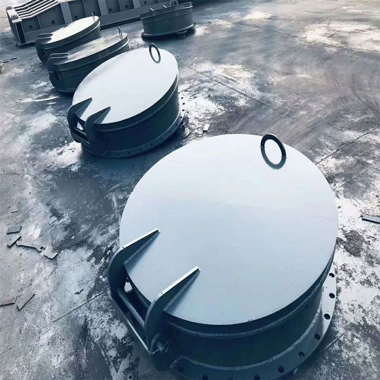 铸铁拍门自由铸铁拍门铸铁拍门浮箱系列拍门