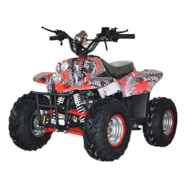 Electric beach off-road lithium battery for adults