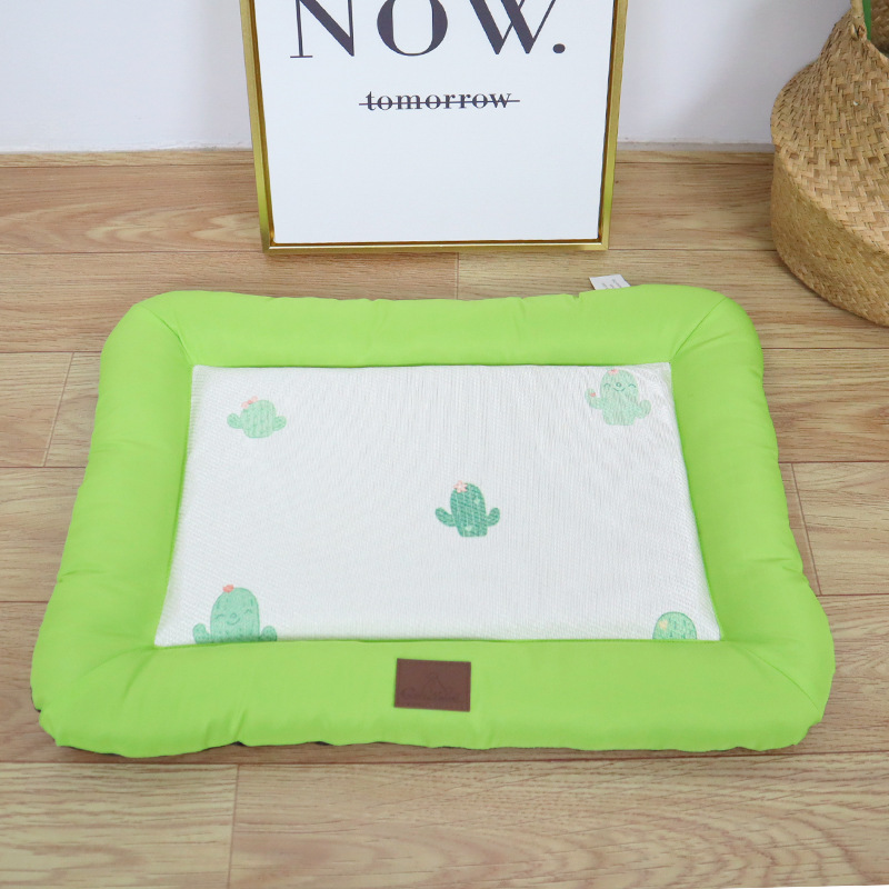 Охлаждающая подставка кактуса на белом фоне