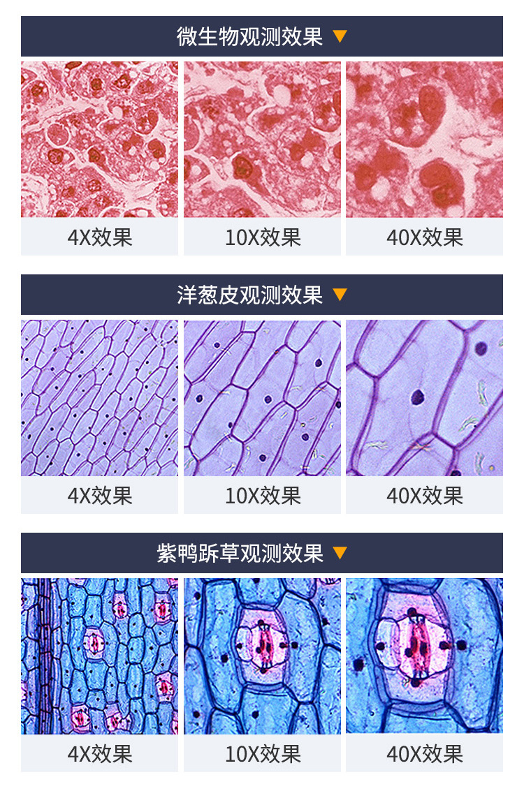 1000倍双目儿童显微镜生物实验变倍显微镜机中小学生显微镜批发详情9