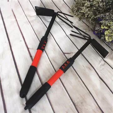 3216799021_1578675911