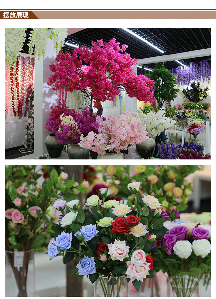 10223255210_1098095297