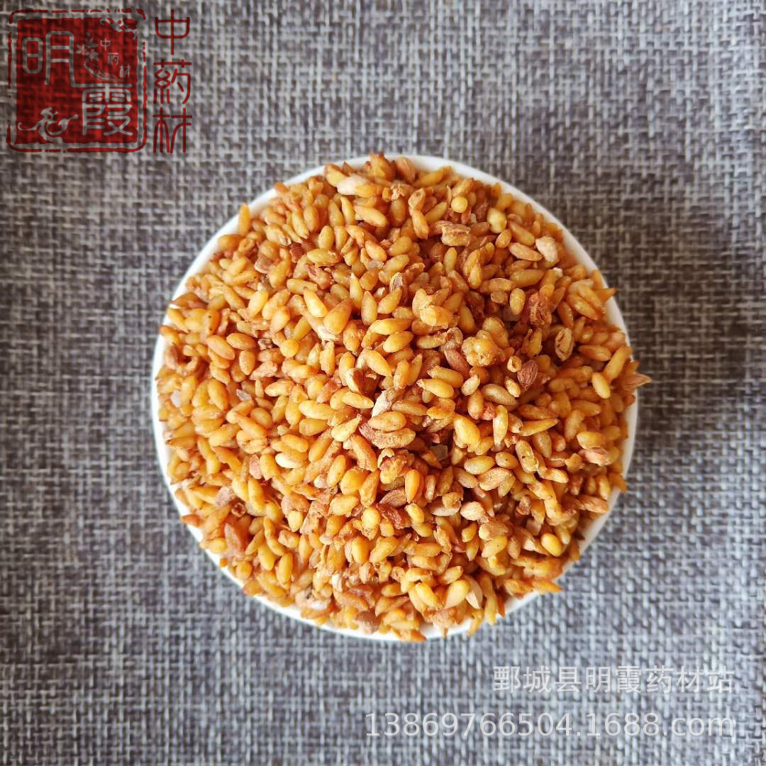 明霞药材 【柏子仁】1000克 批发零售供应