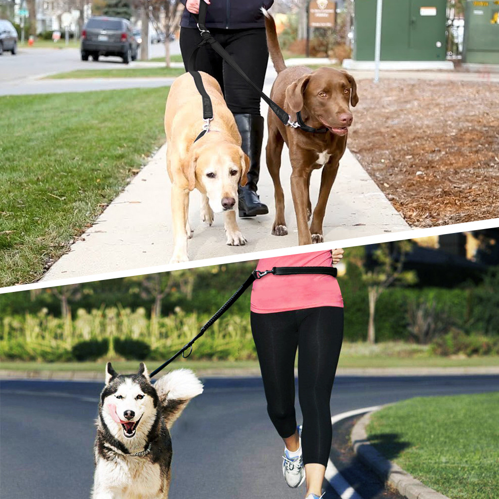 道顿多功能狗狗牵引绳2米反光防爆冲缓冲绳双牵可调节长短牵引带