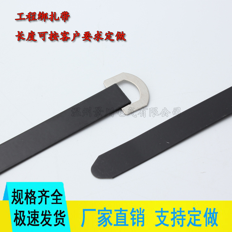 D型不锈钢扎带厂家直销 船用简易扣喷塑扎带16*300MM粘塑电缆扎条