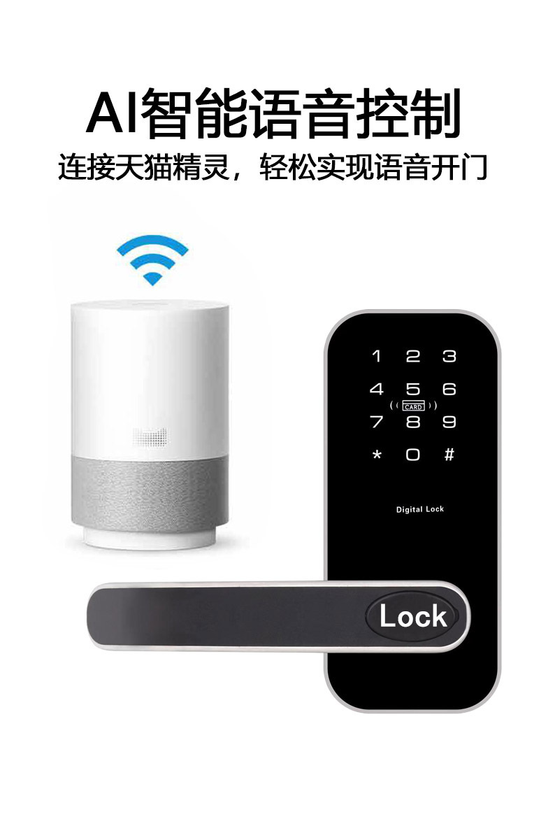 DSB918 Bluetooth Smart Door Lock, single-tongue Bluetooth smart door lock, cross-border exclusive smart door lock manufacturer detail image 9