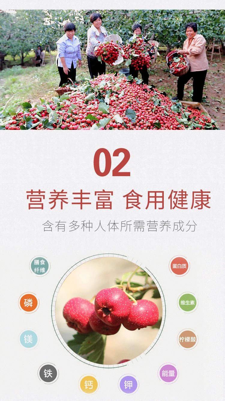 pcitem260189360-409b000001663d