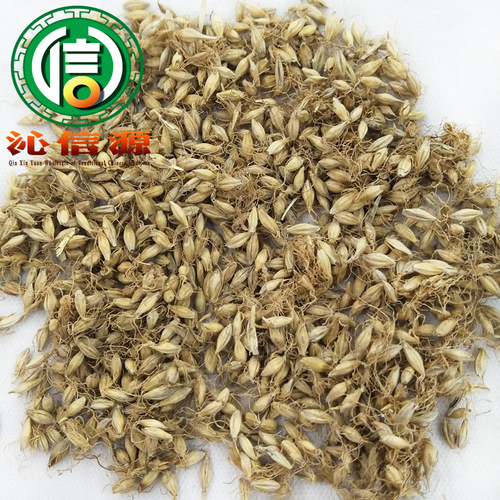 Full Malteus Raw Material Bulk 1kg Loose Packing Direct Supply Raw Malteus Qinxin Source TCM Wholesale