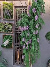 ������ٗl12�^������ڒ� ��c�b���ֲ��b����� �Gֲ�ٗl