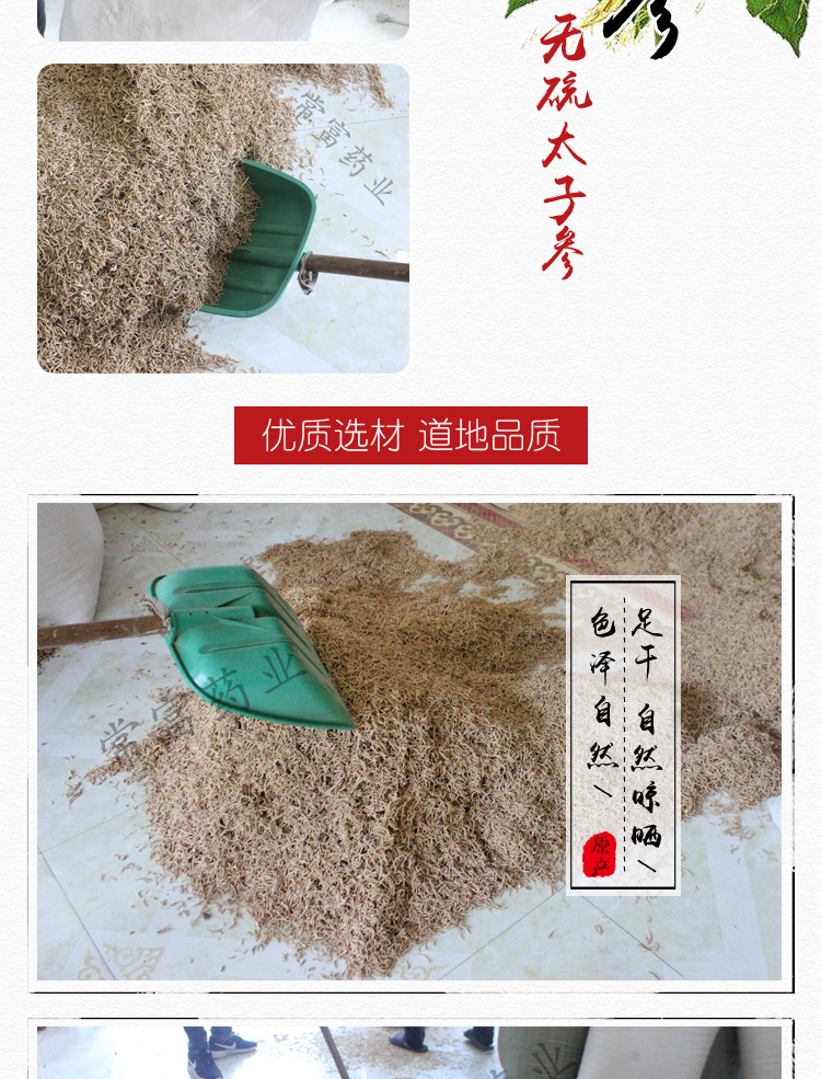 Taizishen Dried Prince Ginseng Root TCM Herb New Crop 500g key features