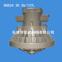 DGS30 36/127L(A)øLED30W LED