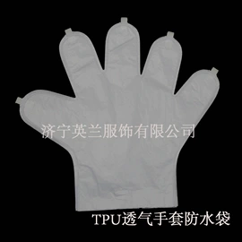 成人手套;儿童手套;手套配件