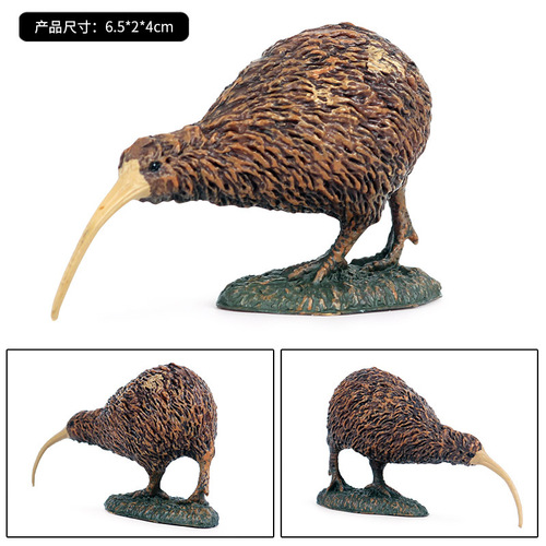 Children's solid bird simulation animal model toy wild plastic animal world bird kiwi bird ornaments
