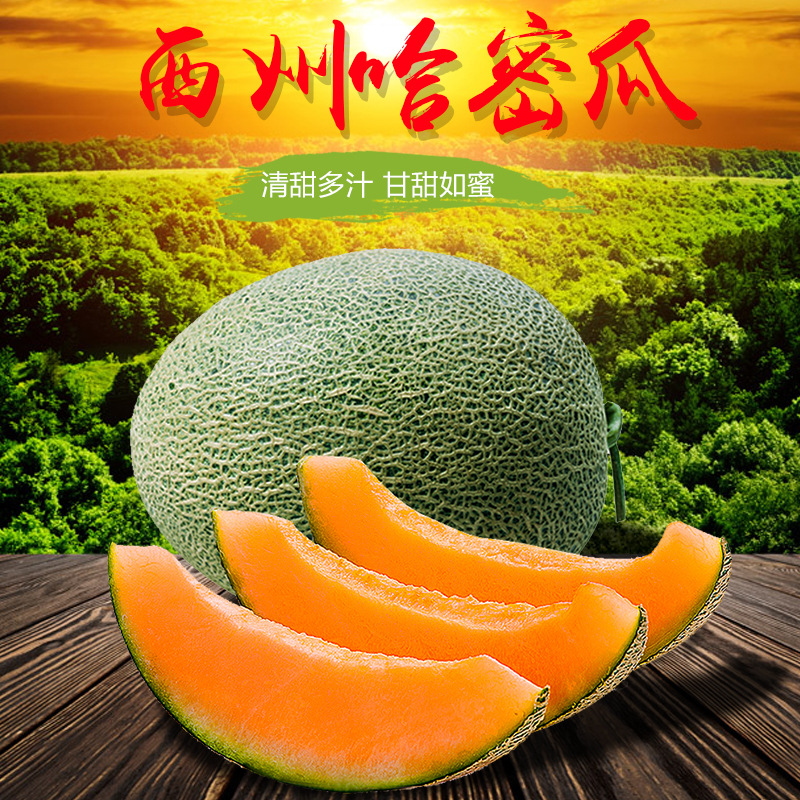 Cantaloupe fresh One box Super Thin pregnant woman fruit Myanmar Xi Zhou