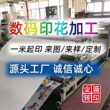 数码印花加工 布匹裁片印花 梭织布玩具布艺用品 地毯 水画布