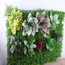 ���S������~��ֲ���Ƥ�G�}�b�ƺ�������ڒ춬���҃Ⱥ��s�r