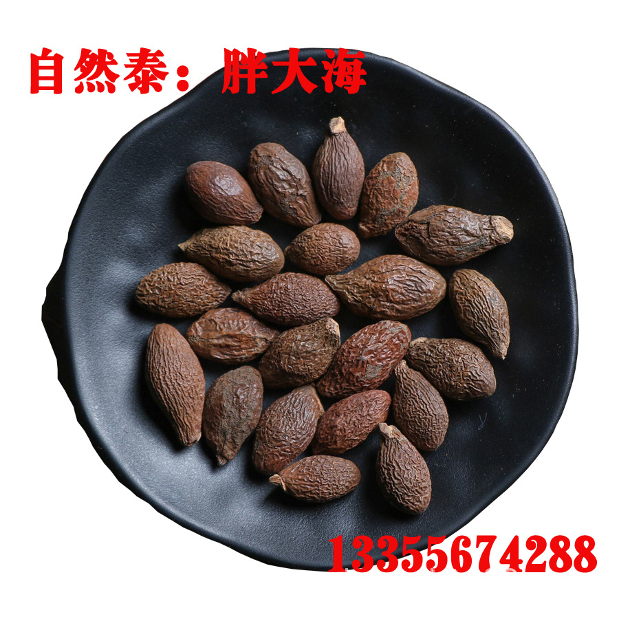 clean Sterculia Head Primary sources Large cargo supply wholesale Poles