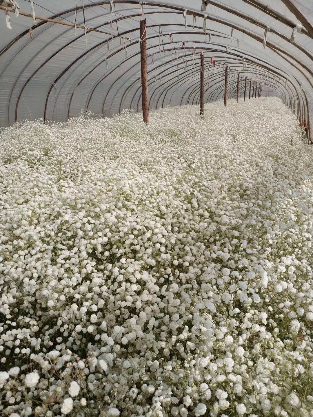 QQ图片20190626225037