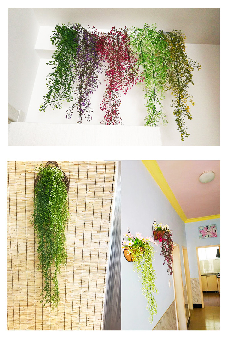 金钟柳 金钟柳壁挂