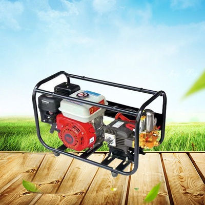 条纹平板高压汽油机 农用框架式机动喷雾器 耐磨实用喷药机|ru