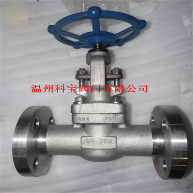 硬密封锻钢法兰闸阀 Z41W PN25 A105/F304