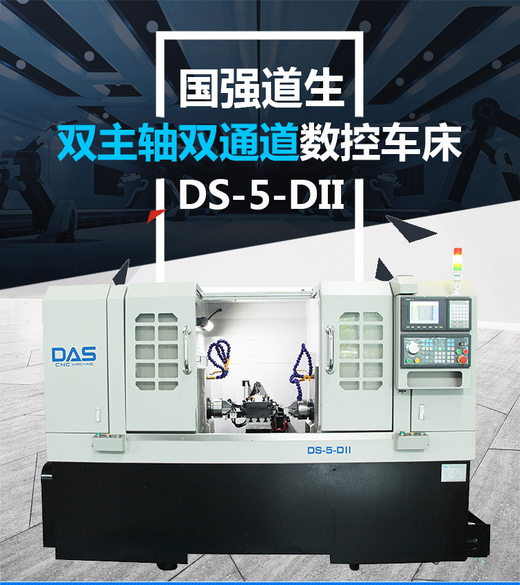 DS-5-DII_01