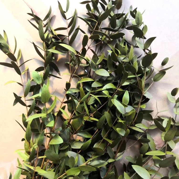 微信图片_20191020212354