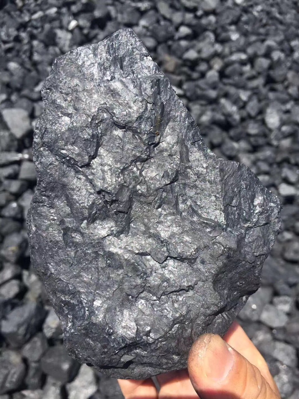 正宗大同塊侏羅紀煤高卡炭抗燒硬度好低硫低6500卡38塊狗頭手搬塊