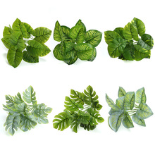 ����ٻ������b����Բ廨�~��ֲ��Gֲ�����12��G�}�~�����~