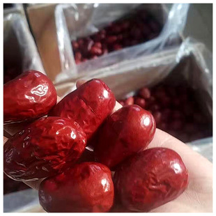 �½��t������� �ؼ�ɢ�b��ʳ����ɹ��خa �ɊA���� �S�����l