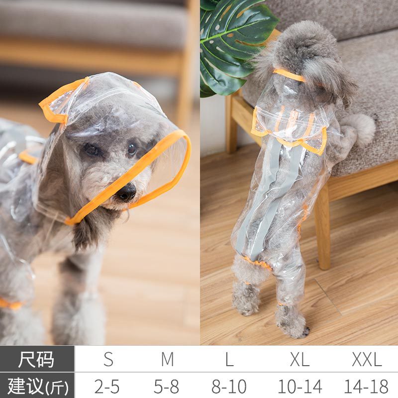 Прозрачный солнечный свет желтый