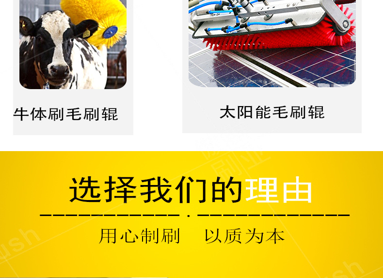 工业毛刷辊 (5).jpg