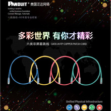 PANDUIT���_3������ UTPSP3MBUY ���ǧ�������������� �{ɫ