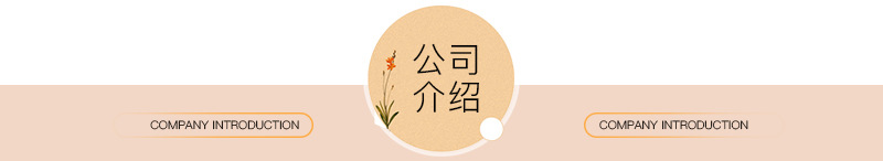 公司介绍.jpg