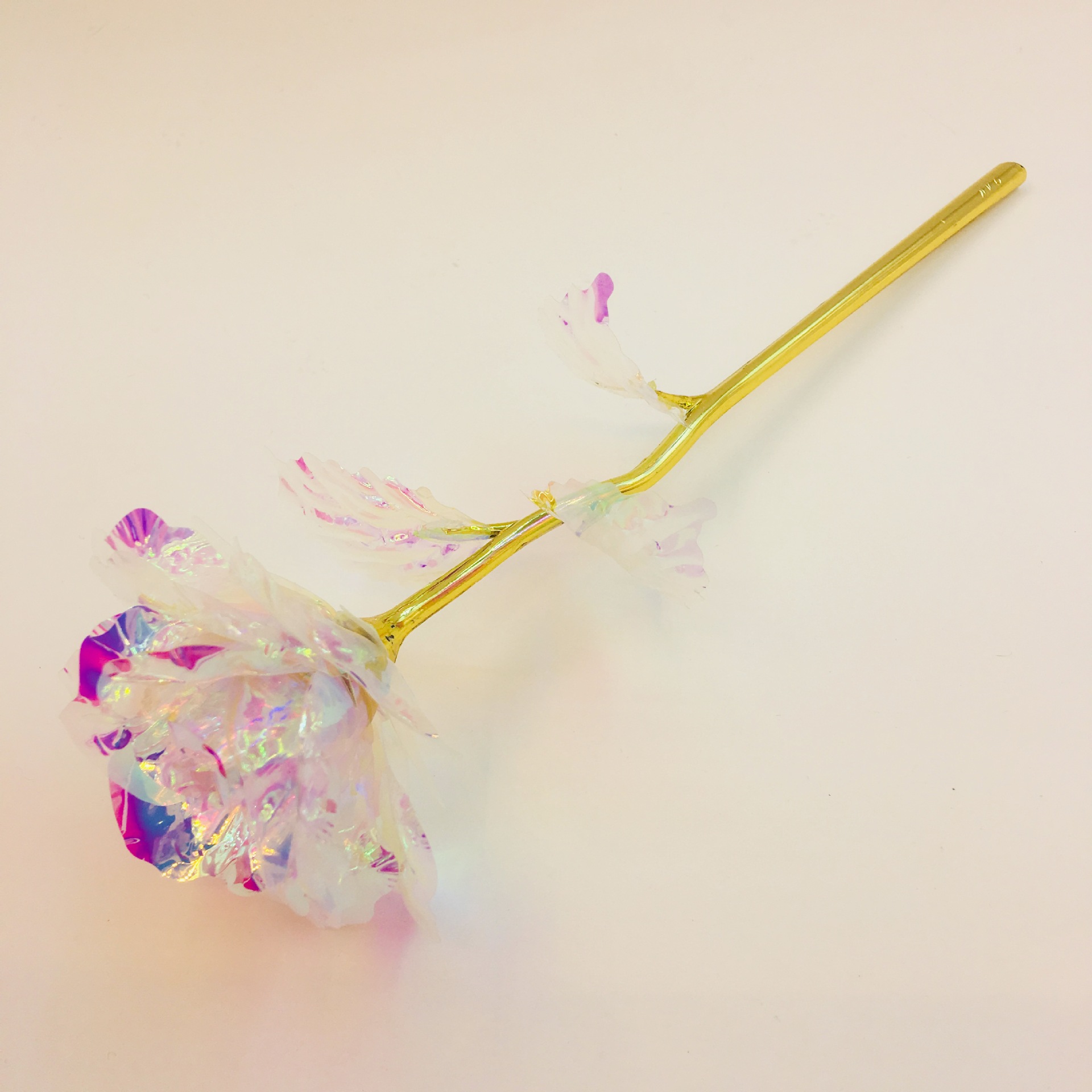 IMG_4990(20190330-045457)