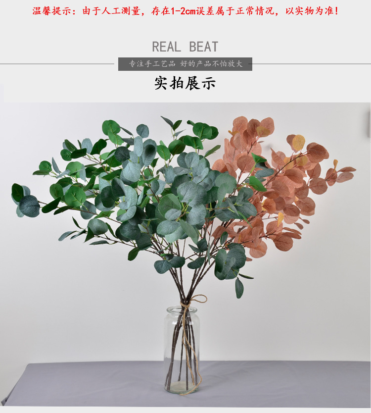 单枝尤加利详情_r3_c1.jpg