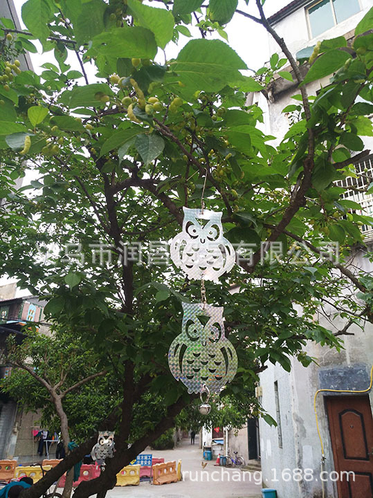 猫头鹰驱鸟反光片