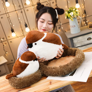 �ɐ۷�����ȸС�Cë�q��߹��Ќ���С�B����Ӽ��b�ֱ�N�ɶ� ��
