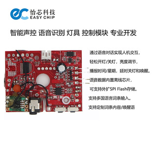 Smart module, LED lights, toy with chip, Birthday gift