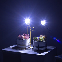 花下居桌面创意灯泡装饰台灯造型铁艺陶瓷多肉花盆组合铁架套装