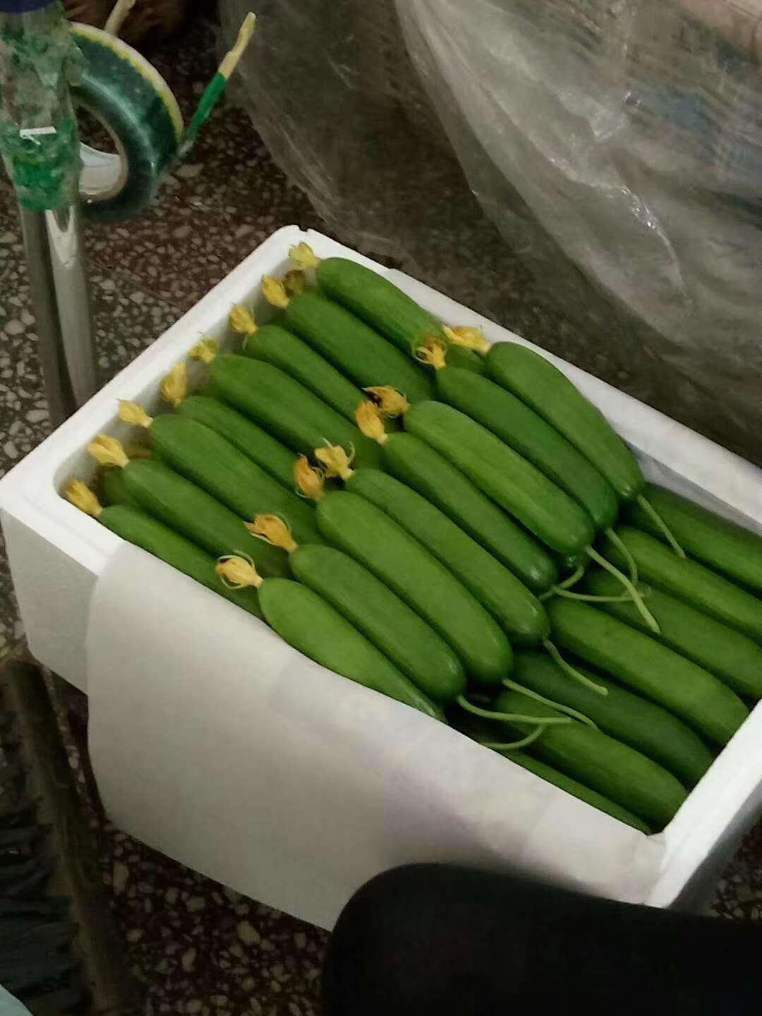 微信圖片_20190617165701