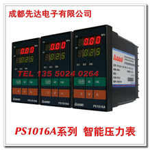 PS1016A系列 智能數字壓力顯示表/壓力計(高溫熔體壓力專用)