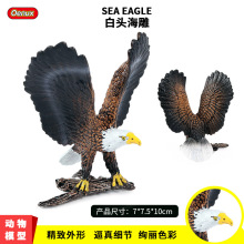 ��ͯ���ķ����B�����չ����^����ģ�͔[��Ұ�����Ą����������