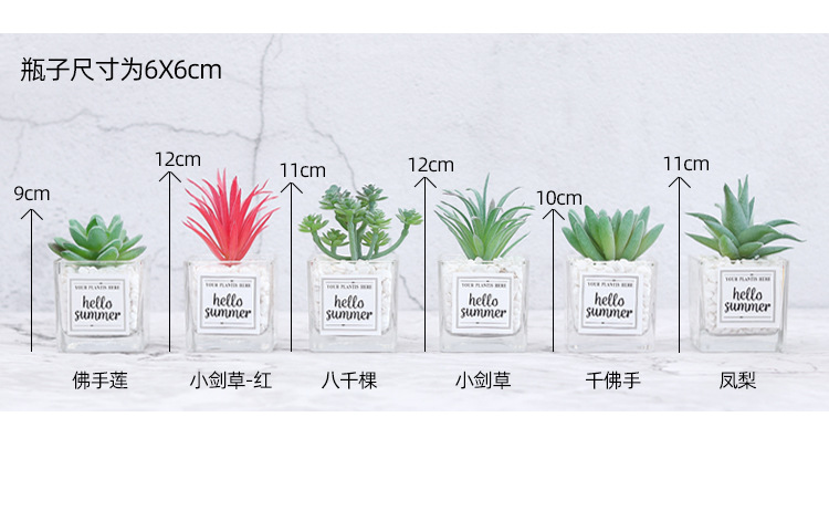 北欧仿真植物迷你多肉盆栽摆件 创意石子玻璃瓶绿植桌面装饰盆栽详情7