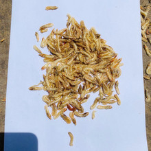 �Օ�t�r��2-3cm����r�ɮaƷ�~�Z���Zˮ����ς}��Z��ʳ