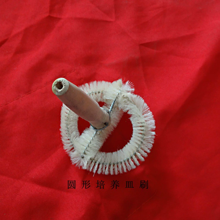 Лабораторная щетка Петри Блюдо Кисть круглая кисть Петри может быть оптовой