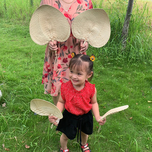 Old-fashioned Chinese Style Cattail Fan Summer Handmade Vintage Straw Hand-cranked Baby Mosquito Repelling Fan Zongye Banana Fan Spot