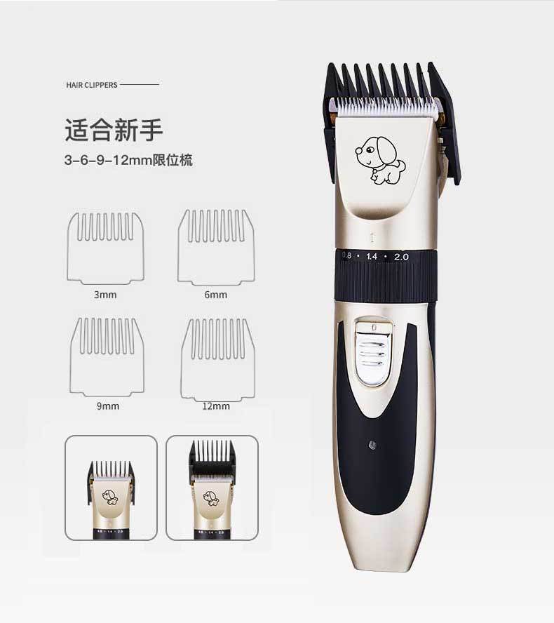 C8新款1_07